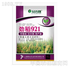 �Ϻ�(li��n)�I(y��)-�����ʄŵ�921