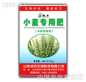 �A�S-С�����÷�