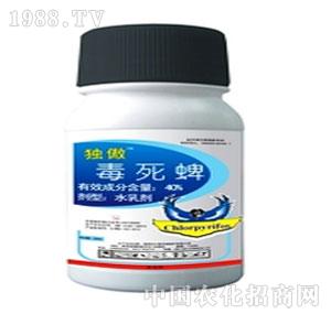 ����ˎ�I(y��)-����