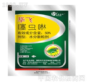 ����ˎ�I(y��)-���w