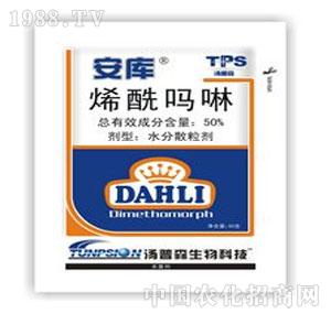 ����ˎ�I(y��)-����(k��)