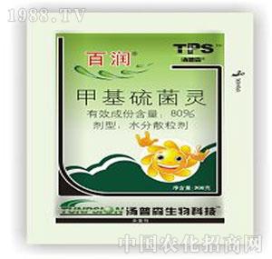 ����ˎ�I(y��)-�ٝ�(r��n)