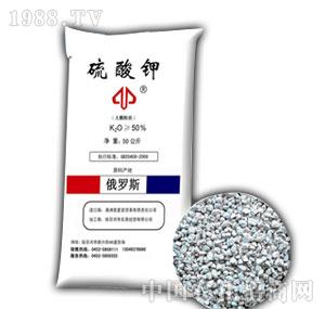 ʯӢ-�����