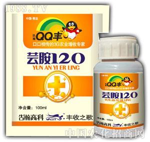 ���-���o���|��120