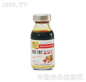 ����-�������Ҋ