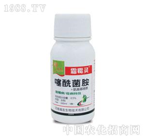 ����-˪ù�`