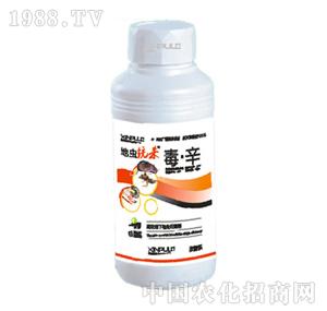 ���՘�-���x