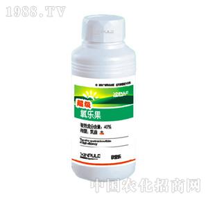 ���՘�-����������