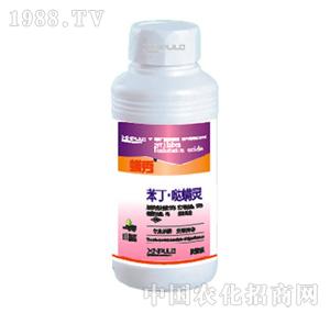 ���՘�(l��)-�����}���`