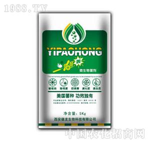 ����-һ���Z��(f��)��΢�������