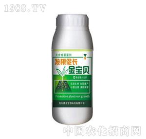 ����-�l(f��)�����L(zh��ng)����ؐ