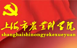 �Ϻ����r(n��ng)�I(y��)�ƌW(xu��)Ժ