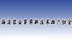 �����к����r(n��ng)�I(y��)��(sh��)���¼��g(sh��)�ƏV�f(xi��)��