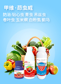 ���ݝ�������Ƽ����޹�˾