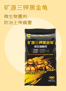 �������ý�����Ƽ����޹�˾